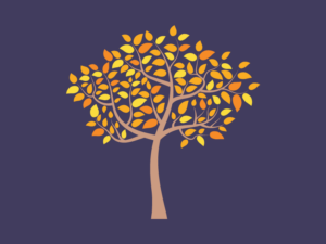 fall tree - tips for eating disorder recovery during fall